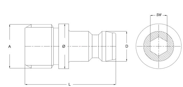 Male Plug - with internal Hex