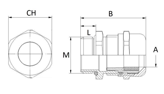 Cable Glands