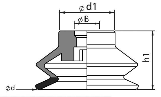 Multiflex Vacuum Cups