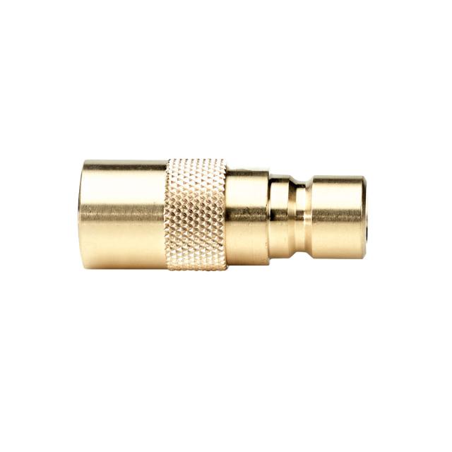 Coupling with plug
